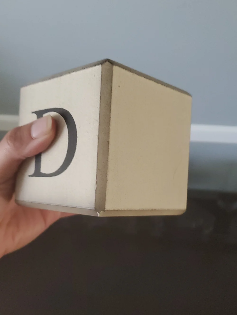 Dream Block Wall Decor - Cream and Black